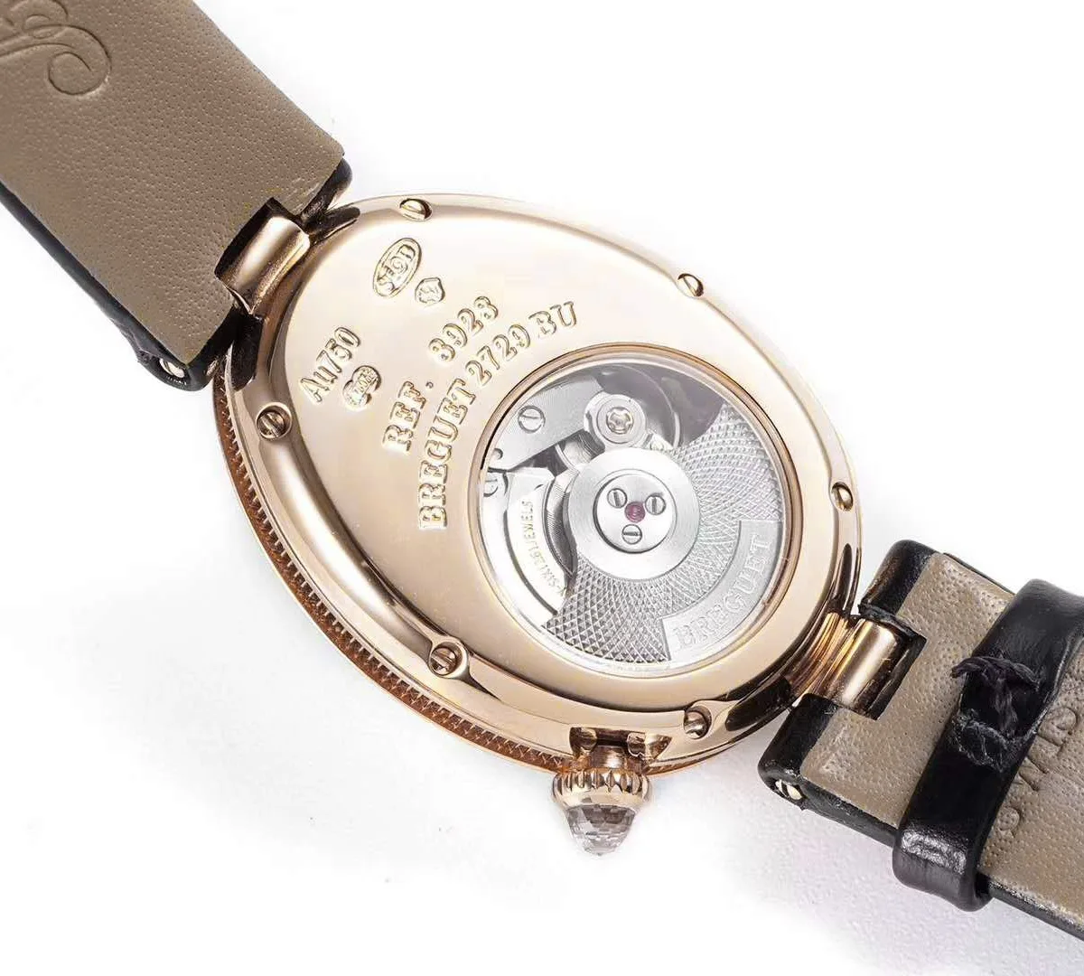 reine-de-naple-yg-9